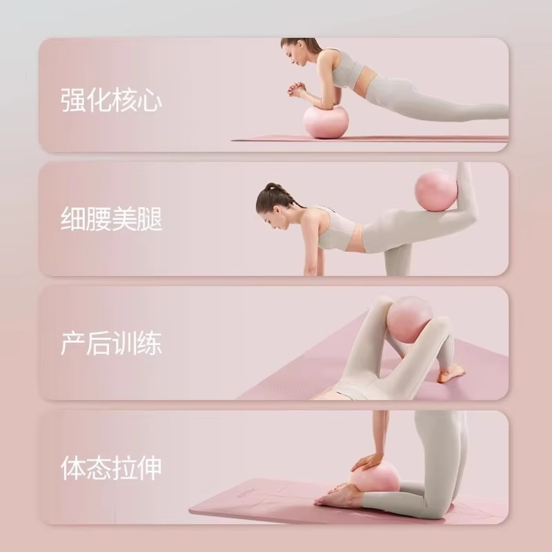 Women Gym Yoga Fitness Ball Th - đánh giá và giá Pilates Yoga Ball Workout