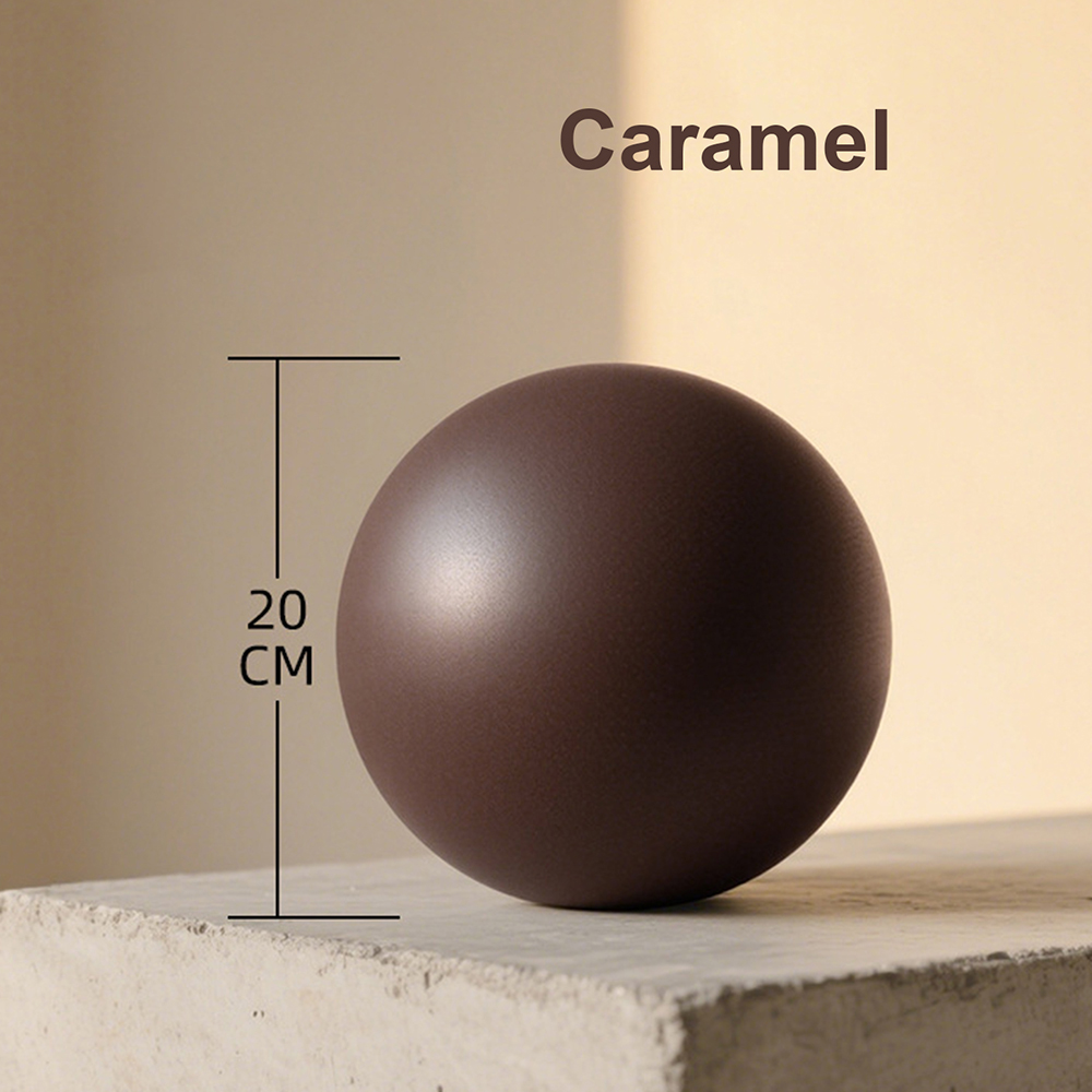 20cm Matte Exercise Ball Barre - đánh giá và giá Pilates Yoga Ball Workout